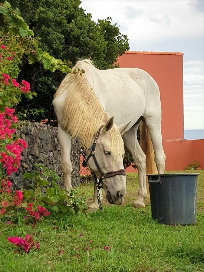 Quinta Da Falesia - Casa Amarela Ponta Delgada Exteriér fotografie