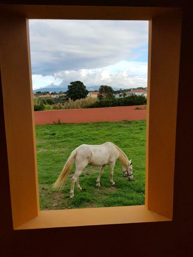 Quinta Da Falesia - Casa Amarela Ponta Delgada Exteriér fotografie