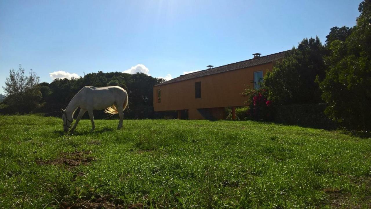 Quinta Da Falesia - Casa Amarela Ponta Delgada Exteriér fotografie