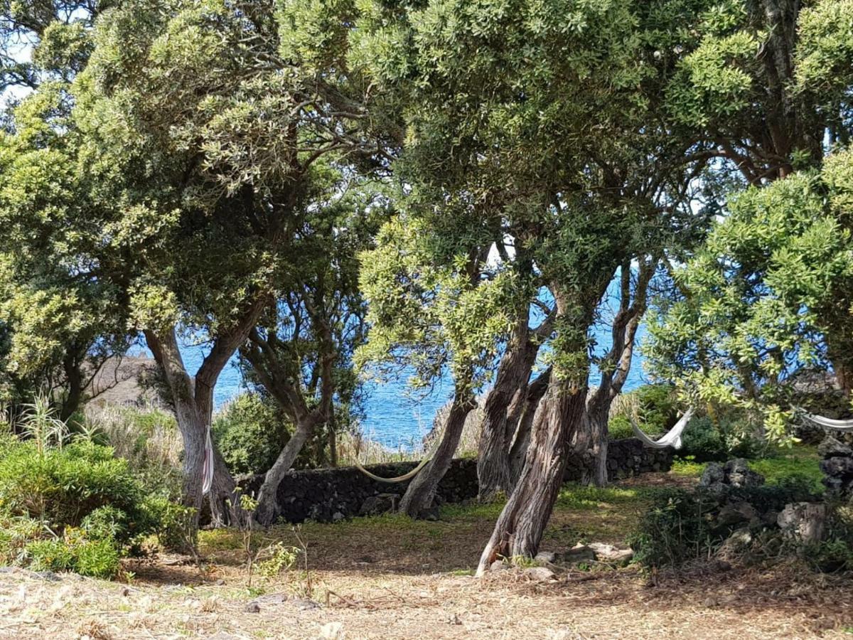 Quinta Da Falesia - Casa Amarela Ponta Delgada Exteriér fotografie