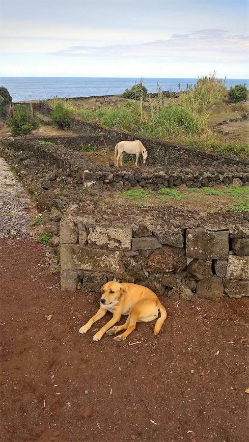 Quinta Da Falesia - Casa Amarela Ponta Delgada Exteriér fotografie